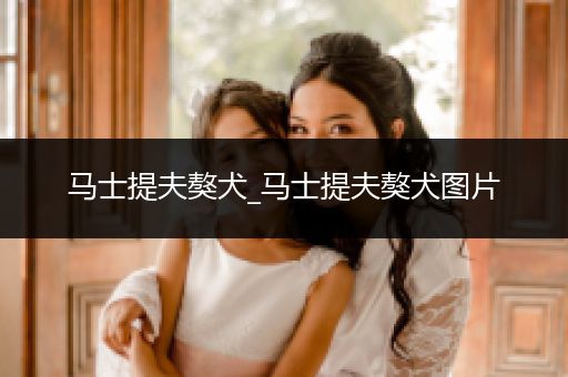 馬士提夫獒犬_馬士提夫獒犬圖片