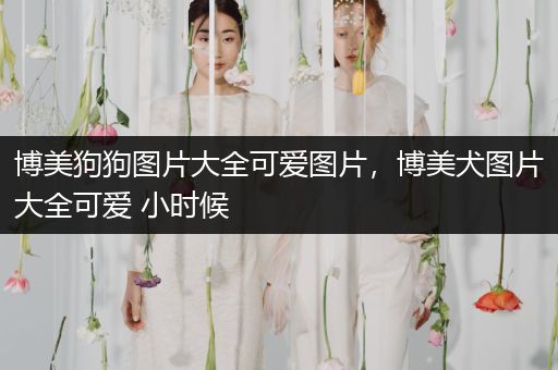 博美狗狗圖片大全可愛圖片，博美犬圖片大全可愛 小時候