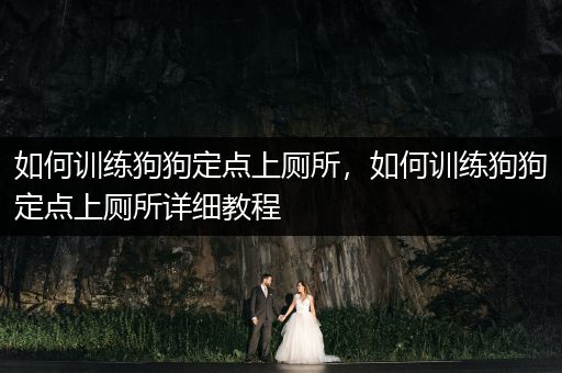 如何訓(xùn)練狗狗定點(diǎn)上廁所，如何訓(xùn)練狗狗定點(diǎn)上廁所詳細(xì)教程