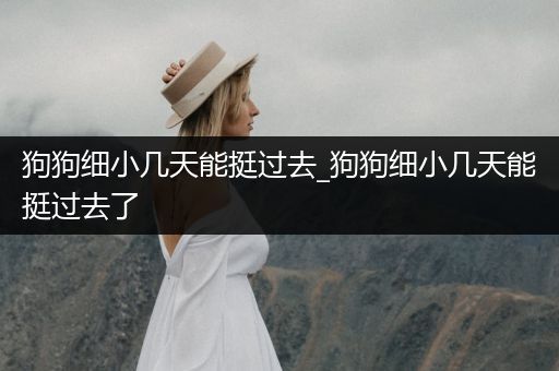 狗狗細(xì)小幾天能挺過去_狗狗細(xì)小幾天能挺過去了