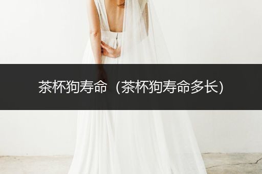 茶杯狗壽命（茶杯狗壽命多長）