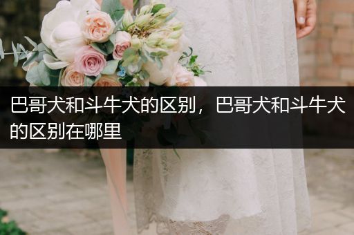 巴哥犬和斗牛犬的區(qū)別，巴哥犬和斗牛犬的區(qū)別在哪里