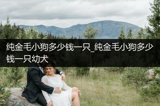 純金毛小狗多少錢一只_純金毛小狗多少錢一只幼犬