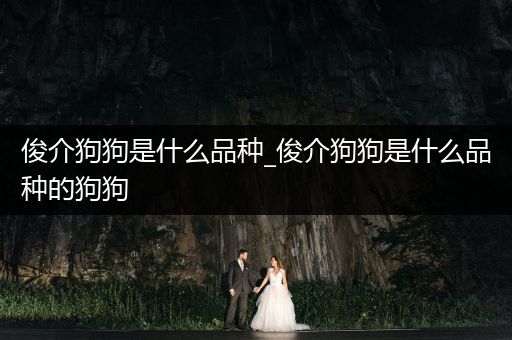 俊介狗狗是什么品種_俊介狗狗是什么品種的狗狗