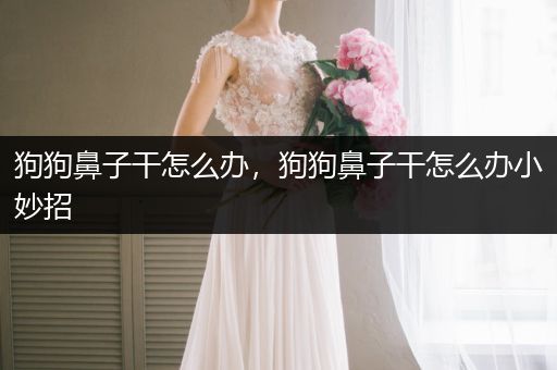 狗狗鼻子干怎么辦，狗狗鼻子干怎么辦小妙招