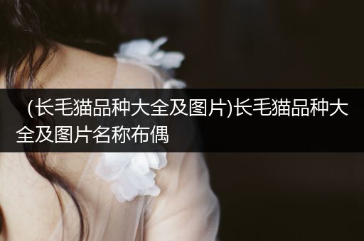 （長毛貓品種大全及圖片)長毛貓品種大全及圖片名稱布偶