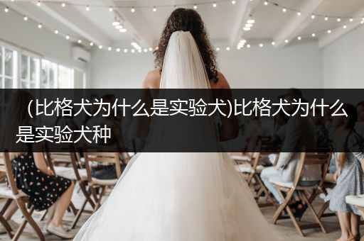 （比格犬為什么是實(shí)驗(yàn)犬)比格犬為什么是實(shí)驗(yàn)犬種