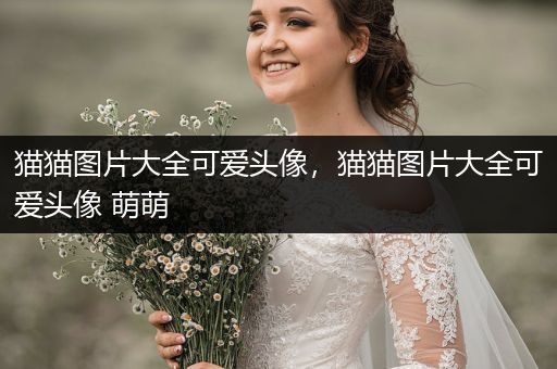 貓貓圖片大全可愛頭像，貓貓圖片大全可愛頭像 萌萌