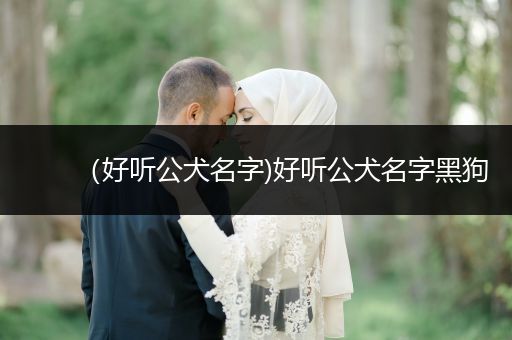 （好聽公犬名字)好聽公犬名字黑狗