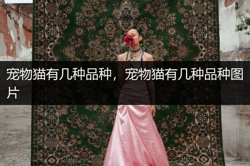寵物貓有幾種品種，寵物貓有幾種品種圖片