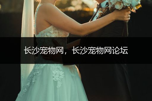 長沙寵物網，長沙寵物網論壇