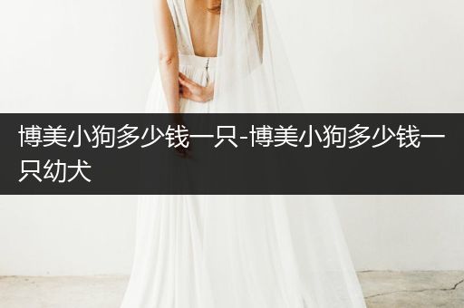 博美小狗多少錢一只-博美小狗多少錢一只幼犬