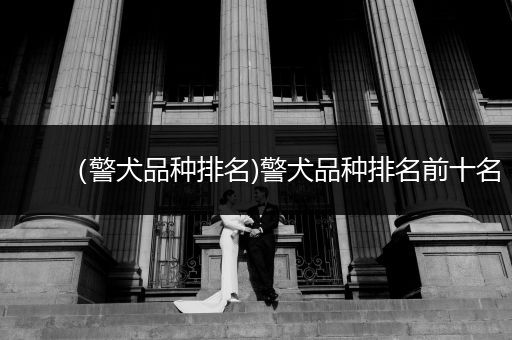（警犬品種排名)警犬品種排名前十名