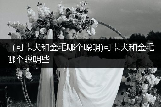 （可卡犬和金毛哪個(gè)聰明)可卡犬和金毛哪個(gè)聰明些