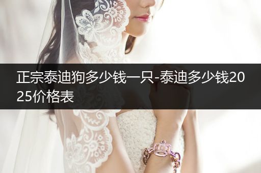 正宗泰迪狗多少錢一只-泰迪多少錢2025價(jià)格表