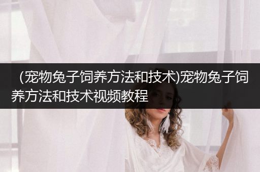 （寵物兔子飼養(yǎng)方法和技術(shù))寵物兔子飼養(yǎng)方法和技術(shù)視頻教程