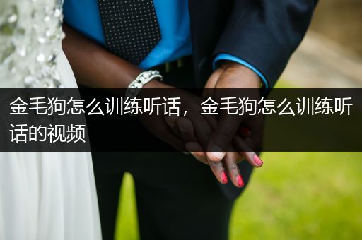 金毛狗怎么訓練聽話，金毛狗怎么訓練聽話的視頻