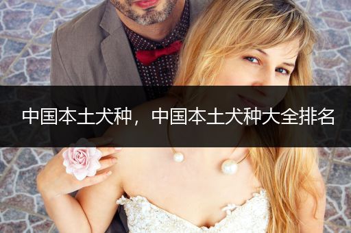 中國本土犬種，中國本土犬種大全排名