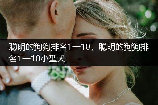 聰明的狗狗排名1一10，聰明的狗狗排名1一10小型犬