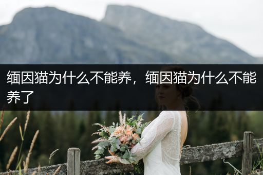 緬因貓為什么不能養(yǎng)，緬因貓為什么不能養(yǎng)了