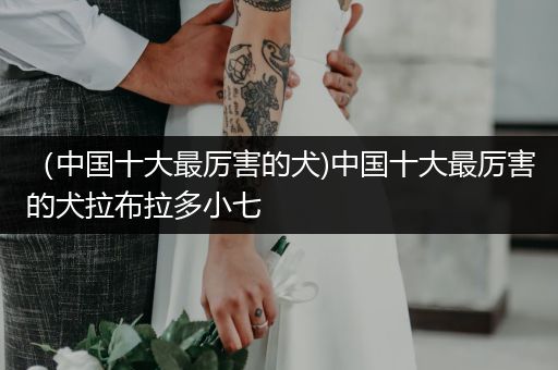 （中國(guó)十大最厲害的犬)中國(guó)十大最厲害的犬拉布拉多小七