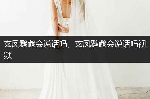 玄鳳鸚鵡會說話嗎，玄鳳鸚鵡會說話嗎視頻