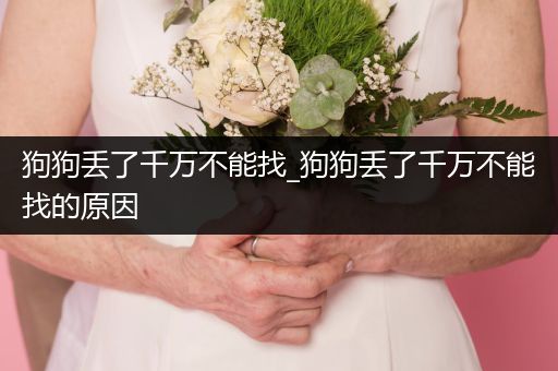 狗狗丟了千萬不能找_狗狗丟了千萬不能找的原因