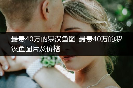 最貴40萬的羅漢魚圖_最貴40萬的羅漢魚圖片及價格