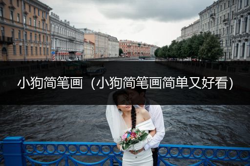 小狗簡筆畫（小狗簡筆畫簡單又好看）