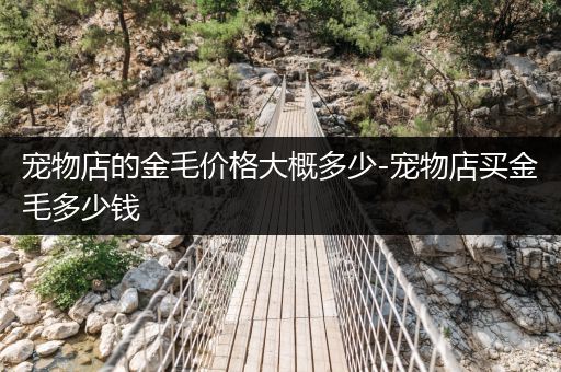 寵物店的金毛價格大概多少-寵物店買金毛多少錢