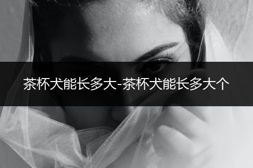 茶杯犬能長多大-茶杯犬能長多大個