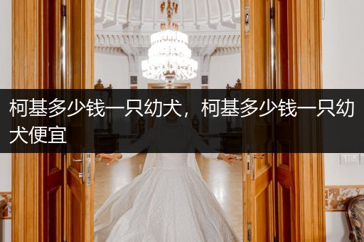 柯基多少錢一只幼犬，柯基多少錢一只幼犬便宜