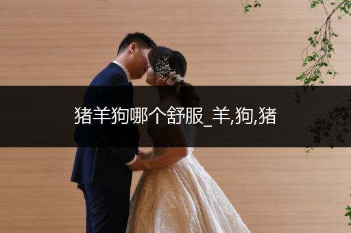 豬羊狗哪個舒服_羊,狗,豬