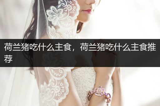 荷蘭豬吃什么主食，荷蘭豬吃什么主食推薦