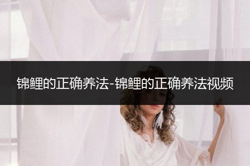 錦鯉的正確養(yǎng)法-錦鯉的正確養(yǎng)法視頻