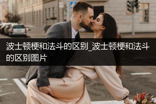 波士頓梗和法斗的區(qū)別_波士頓梗和法斗的區(qū)別圖片