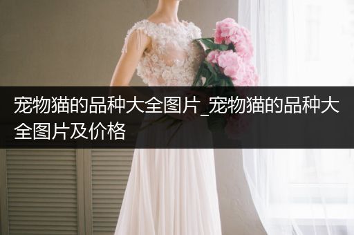 寵物貓的品種大全圖片_寵物貓的品種大全圖片及價格