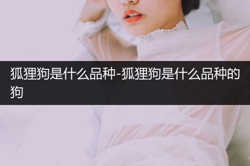 狐貍狗是什么品種-狐貍狗是什么品種的狗