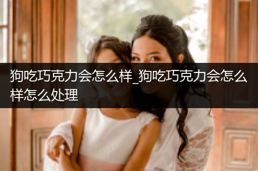 狗吃巧克力會怎么樣_狗吃巧克力會怎么樣怎么處理