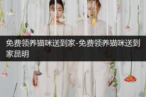 免費領(lǐng)養(yǎng)貓咪送到家-免費領(lǐng)養(yǎng)貓咪送到家昆明