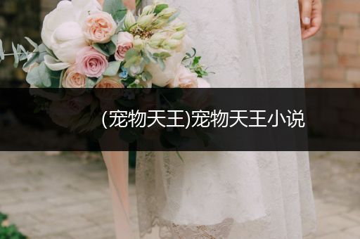 （寵物天王)寵物天王小說