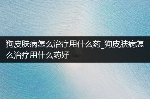 狗皮膚病怎么治療用什么藥_狗皮膚病怎么治療用什么藥好