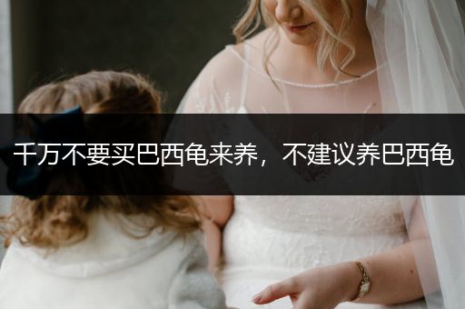 千萬不要買巴西龜來養(yǎng)，不建議養(yǎng)巴西龜