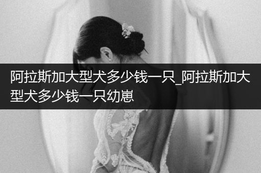 阿拉斯加大型犬多少錢一只_阿拉斯加大型犬多少錢一只幼崽