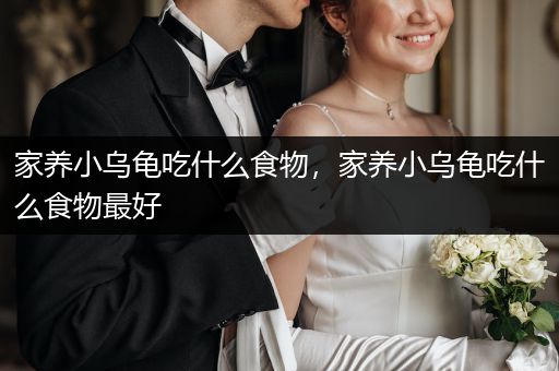 家養(yǎng)小烏龜吃什么食物，家養(yǎng)小烏龜吃什么食物最好