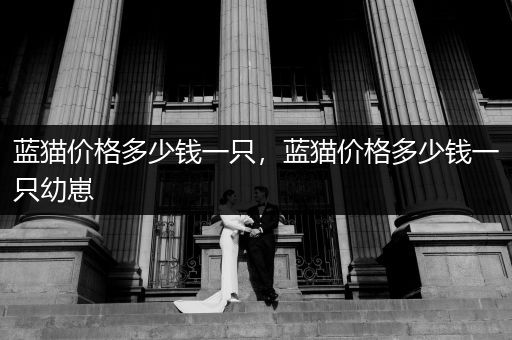 藍(lán)貓價(jià)格多少錢一只，藍(lán)貓價(jià)格多少錢一只幼崽