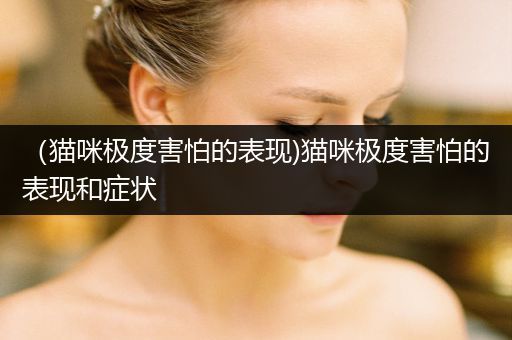 （貓咪極度害怕的表現(xiàn))貓咪極度害怕的表現(xiàn)和癥狀