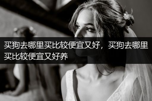買狗去哪里買比較便宜又好，買狗去哪里買比較便宜又好養(yǎng)