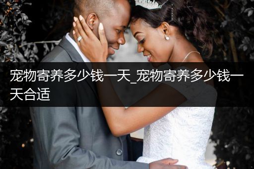 寵物寄養(yǎng)多少錢一天_寵物寄養(yǎng)多少錢一天合適