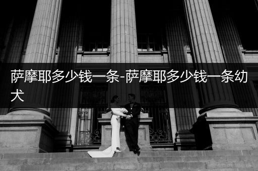 薩摩耶多少錢一條-薩摩耶多少錢一條幼犬